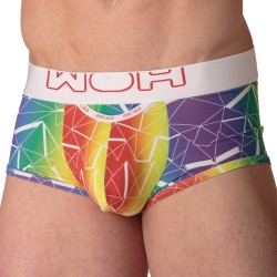 Boxershorts, Shorty der Marke WOH - Boxershorts Sexy Fun WOH Rainbow - Ref : 463036 P023