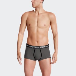 Shorts Boxer, Shorty de la marca IMPETUS - Shorty Sport ergonómico gris - Ref : 2051B87 BKFG1F