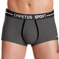 Boxer, shorty de la marque IMPETUS - Shorty Sport Ergonomic gris - Ref : 2051B87 BKFG1F
