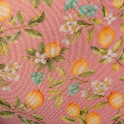 Jardín de Limón de Tronco - Rosa - ADDICTED : venta de Shorts Boxer...