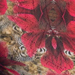 Shorts Boxer, Shorty de la marca ES COLLECTION - Trunk Safari Edición Limitada - Rosa - Ref : UN646 C24