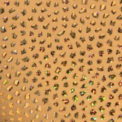 Slip del marchio ADDICTED - Gold Stones Limited Edition Bikini - Beige - Ref : ADP20 C28