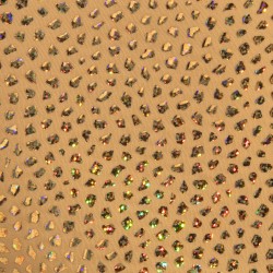 Boxer shorts, Shorty of the brand ADDICTED - Trunk Gold Stones Limited Edition - Beige - Ref : ADP21 C28