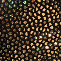 Boxer, shorty de la marque ADDICTED - Trunk Gold Stones Edition Limitée - Noir - Ref : ADP21 C10