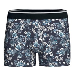 Boxer shorts, Shorty of the brand EDEN PARK - copy of Boxer Eden Park papillons - bleu - Ref : EP1221H9700 NB002