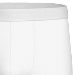 Executive Boxer Briefs Impetus - white - Impetus : vendita di Panta...