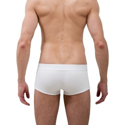 Le Boxer tout blanc - ref :  GFB TOUT BLANC