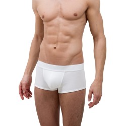 Le Boxer tout blanc - ref :  GFB TOUT BLANC