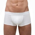 Le Boxer tout blanc - ref :  GFB TOUT BLANC
