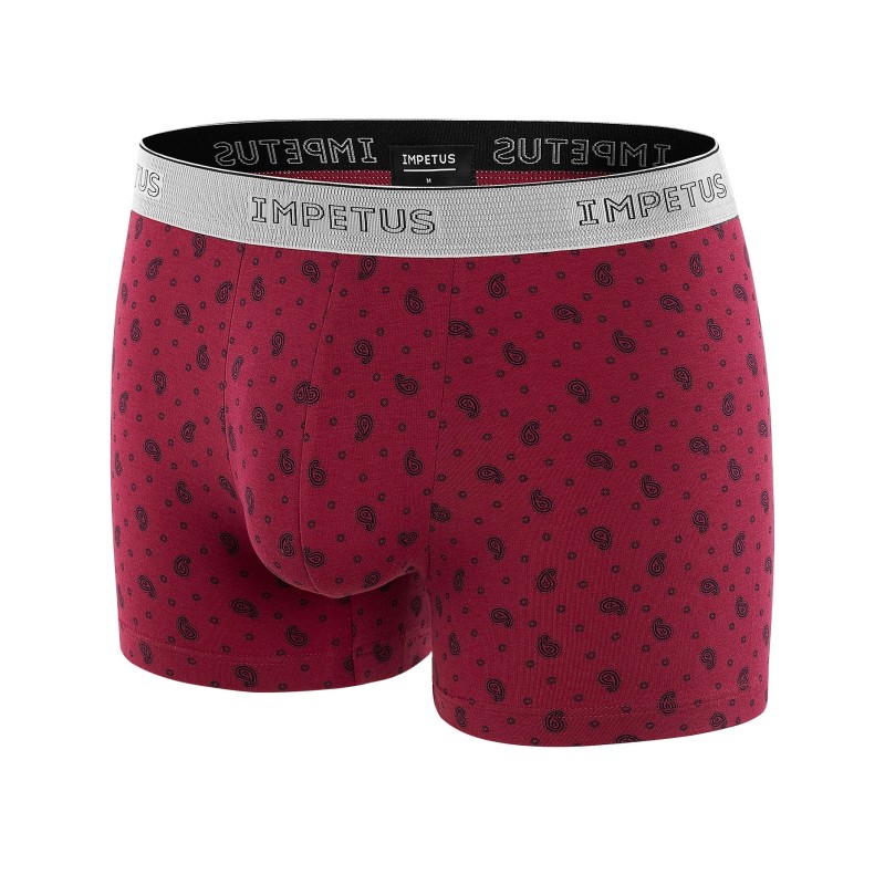 impetus boxershorts