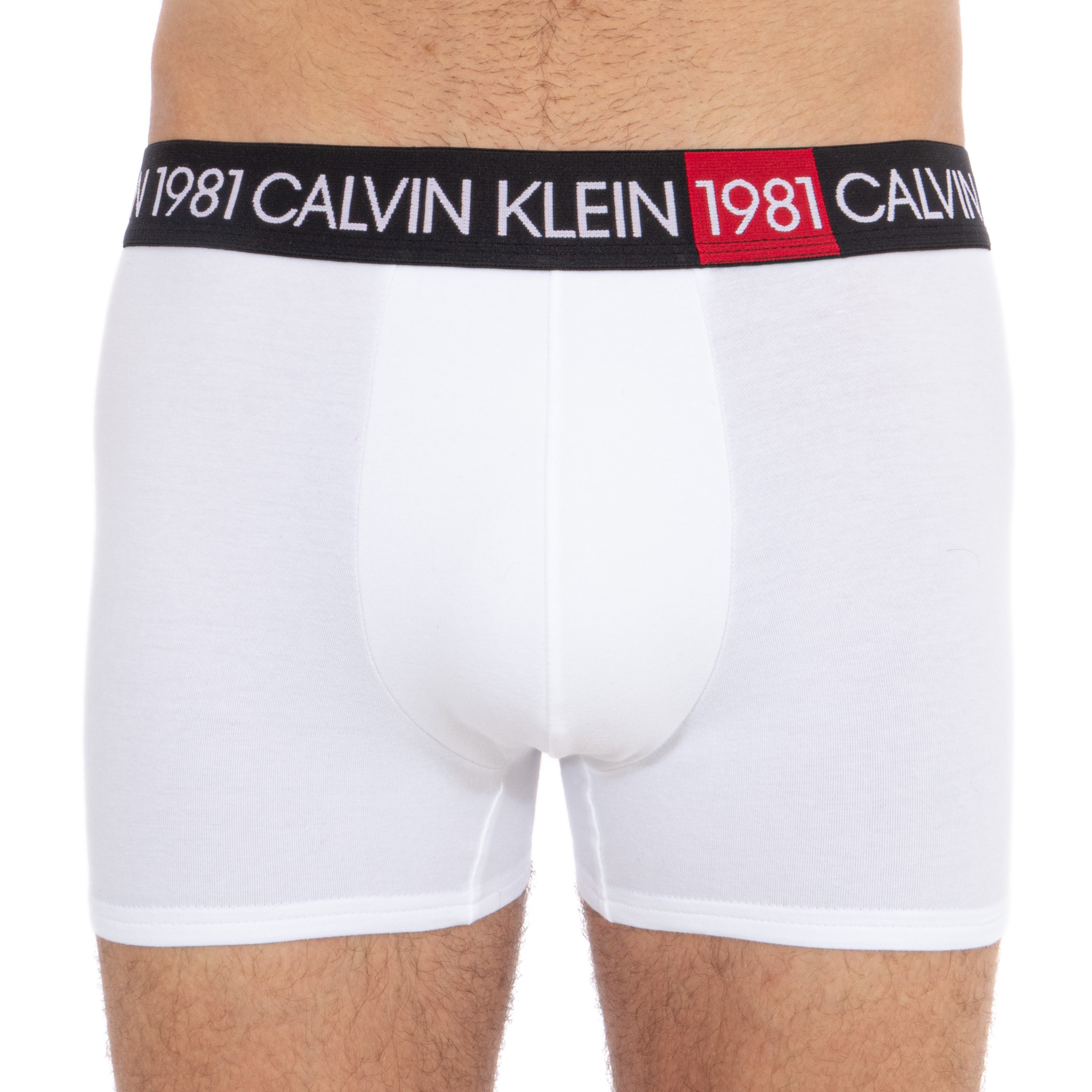 calvin klein 1981 boxers
