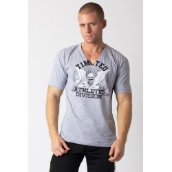 acheter-des-articles-de-mode-pour-homme-Timotéo-T-shirt VNeck gris - T-shirt manches courtes