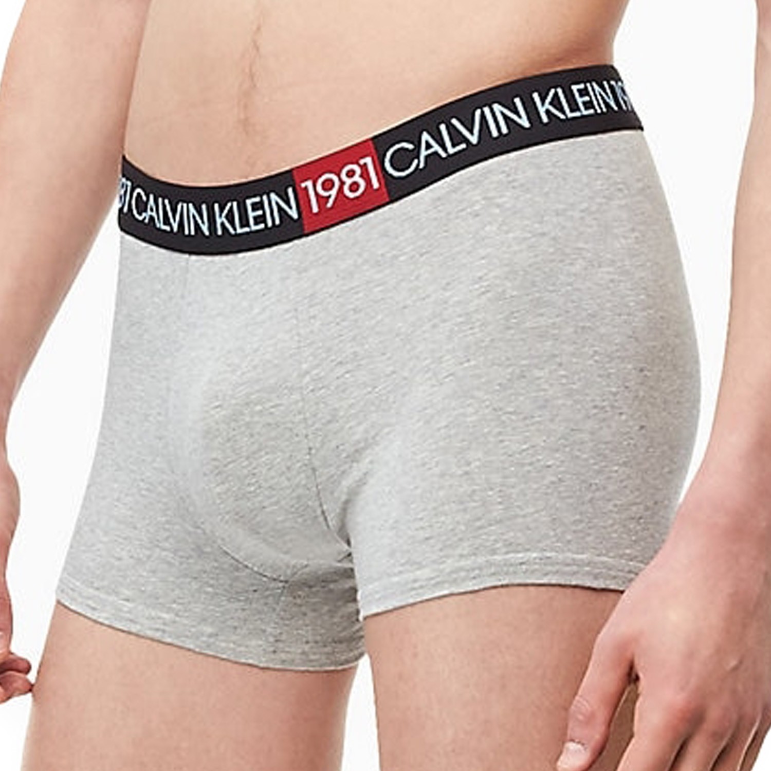calvin klein 1981 boxers