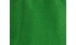  Chaussettes réversibles Cerf Noir Intérieur Vert pomme - DAGOBERT À L’ENVERS DAGG40-NOIR/VERT 