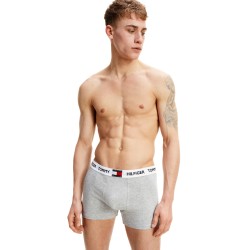  Trunk Tommy coton organic - blanc - TOMMY HILFIGER UM0UM01810-P01 