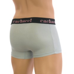 Pantaloncini boxer, Shorty del marchio  - Shorty Cacharel Impact gris - Ref : R525 6500