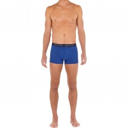  2-pack boxer briefs HO1 Boxerlines - blue - HOM 400405-D046 