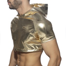 Hauts de la marque ADDICTED - Croptop gold & silver - or - Ref : AD1170 C20