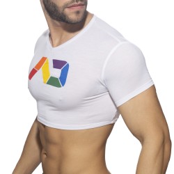 Short Sleeves of the brand ADDICTED - Croptop AD rainbow - Ref : AD1172 C01