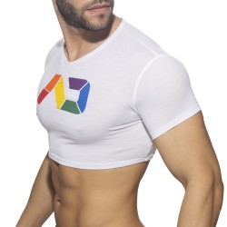 Maniche del marchio ADDICTED - Croptop AD rainbow - Ref : AD1172 C01