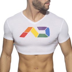 Maniche del marchio ADDICTED - Croptop AD rainbow - Ref : AD1172 C01