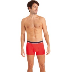 Boxer Fait en France...