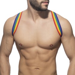 Harnais de la marque ADDICTED - Harnais Rainbow Spider - Ref : AD1181 C01