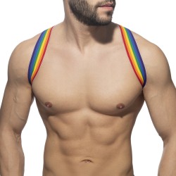 Imbracatura del marchio ADDICTED - Rainbow spider harness - Ref : AD1181 C01