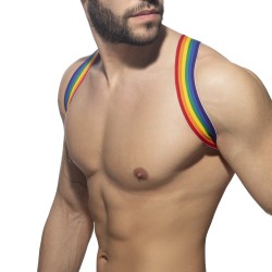 Harness of the brand ADDICTED - Rainbow spider harness - Ref : AD1181 C01