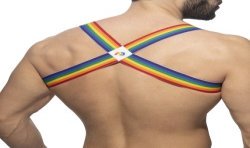 Imbracatura del marchio ADDICTED - Rainbow spider harness - Ref : AD1181 C01