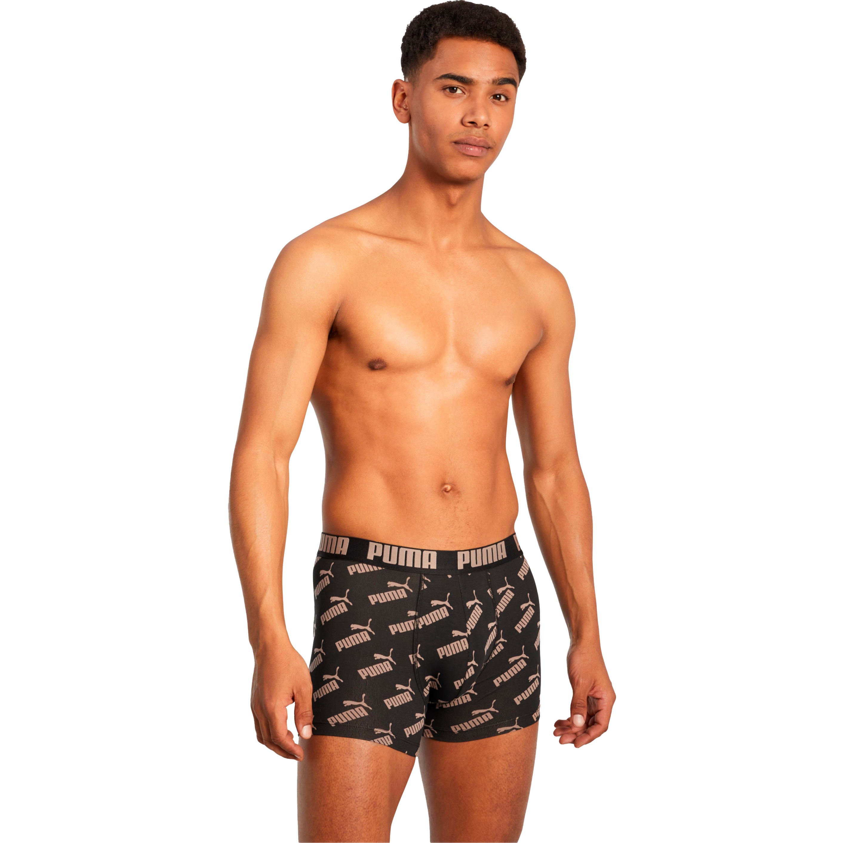 Calzoncillos Puma AOP boxer 2P 100001512-009