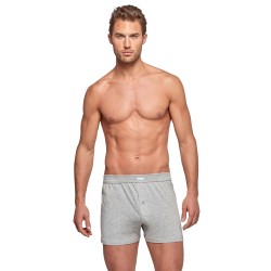 Underpants of the brand IMPETUS - Pure Cotton button-down briefs - grey - Ref : 1271001 507