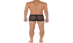 Boxer shorts, Shorty of the brand HOM - Boxer briefs HOM Temptation Arizona - Ref : 402648 J004