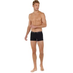 Boxer shorts, Shorty of the brand HOM - Pack of 2 Boxers HOM Vassily - Ref : 402662 D042