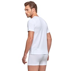 Short Sleeves of the brand IMPETUS - COTTON ORGANIC T-shirt - white - Ref : GO31024 26C