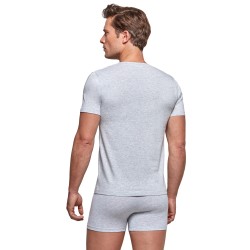 Maniche del marchio IMPETUS - T-shirt cotone organico - grigio - Ref : GO31024 073