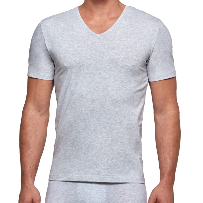 Manches courtes de la marque IMPETUS - T-shirt COTTON ORGANIC - gris - Ref : GO31024 073