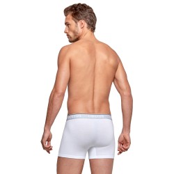 Pantaloncini boxer, Shorty del marchio IMPETUS - Boxer cotone organico bianco - Ref : GO20024 26C