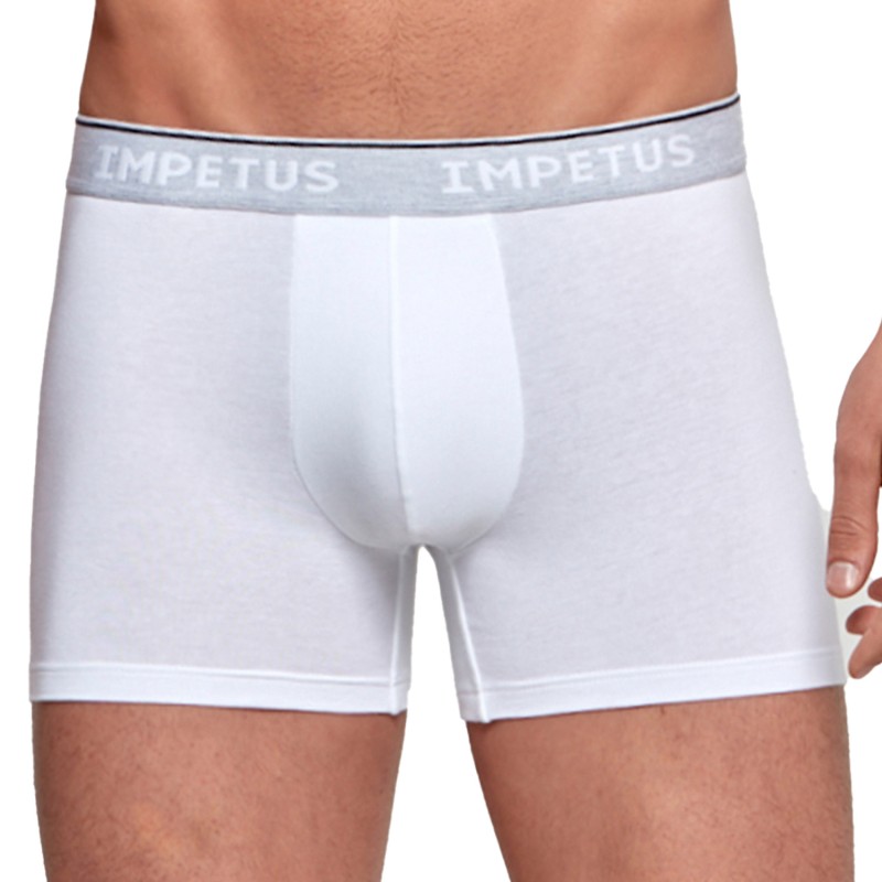 Boxer shorts, Shorty of the brand IMPETUS - Boxer COTTON ORGANIC white - Ref : GO20024 26C