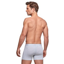 Pantaloncini boxer, Shorty del marchio IMPETUS - Boxer cotone organico grigio - Ref : GO20024 073