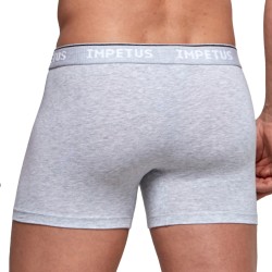Pantaloncini boxer, Shorty del marchio IMPETUS - Boxer cotone organico grigio - Ref : GO20024 073