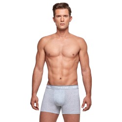 Pantaloncini boxer, Shorty del marchio IMPETUS - Boxer cotone organico grigio - Ref : GO20024 073