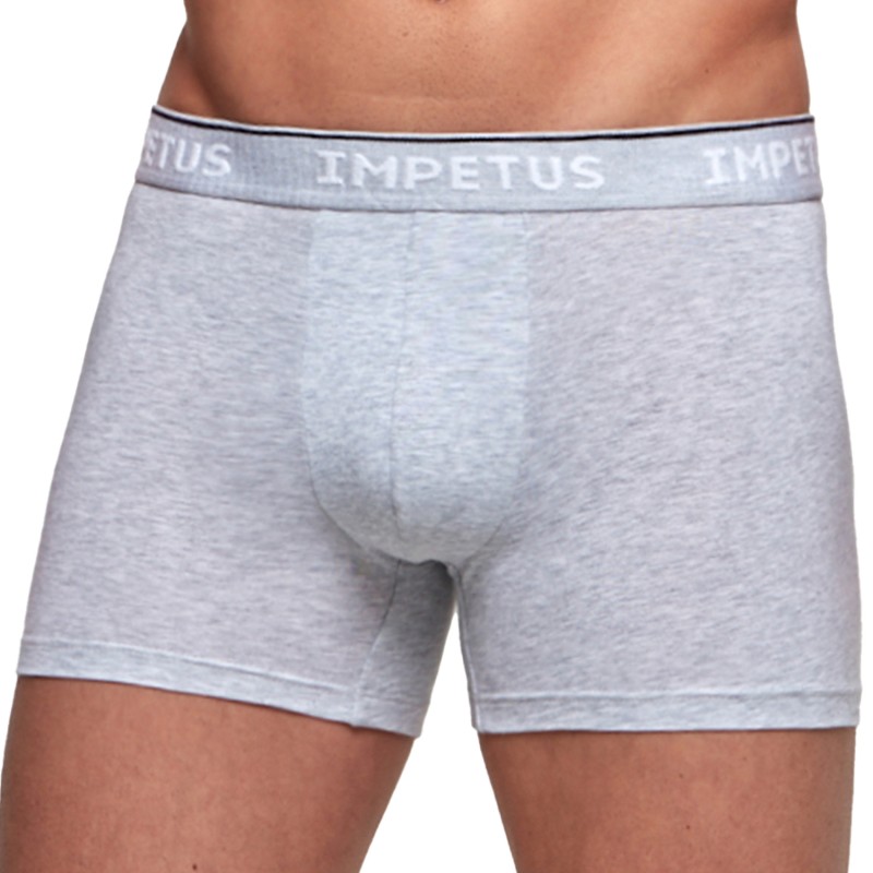 Boxer, shorty de la marque IMPETUS - Boxer COTTON ORGANIC gris - Ref : GO20024 073