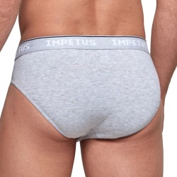 Brief of the brand IMPETUS - Brief COTTON ORGANIC grey - Ref : GO10024 073