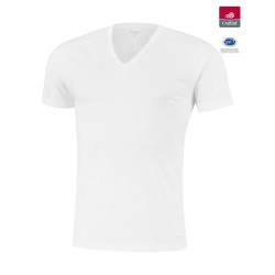 Short Sleeves of the brand IMPETUS - T-shirt V-neck innovation white, temperature regulator - Ref : 1351898 001